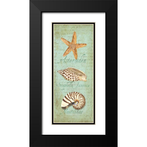 Oceanum Shell Panel Green II Black Modern Wood Framed Art Print with Double Matting by Reed, Tara