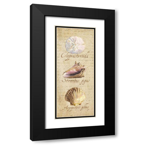 Oceanum Shell Panel Beige I Black Modern Wood Framed Art Print with Double Matting by Reed, Tara