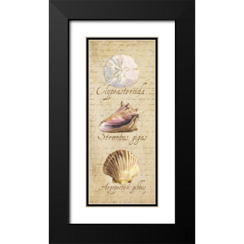 Oceanum Shell Panel Beige I Black Modern Wood Framed Art Print with Double Matting by Reed, Tara