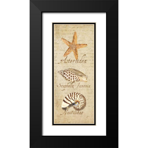 Oceanum Shell Panel Beige II Black Modern Wood Framed Art Print with Double Matting by Reed, Tara