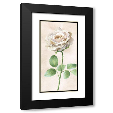 Ivory  Roses panel I Black Modern Wood Framed Art Print with Double Matting by Wilson, Kelsey