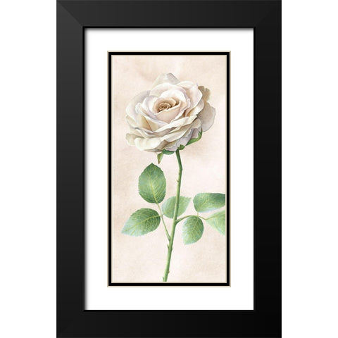 Ivory  Roses panel I Black Modern Wood Framed Art Print with Double Matting by Wilson, Kelsey
