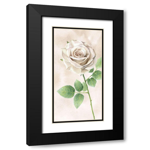 Ivory  Roses panel II Black Modern Wood Framed Art Print with Double Matting by Wilson, Kelsey