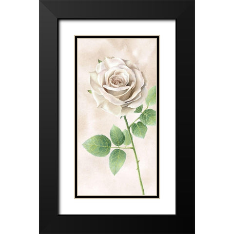 Ivory  Roses panel II Black Modern Wood Framed Art Print with Double Matting by Wilson, Kelsey