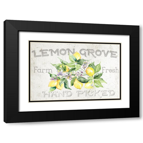 Lemon Grove I Black Modern Wood Framed Art Print with Double Matting by Tre Sorelle Studios