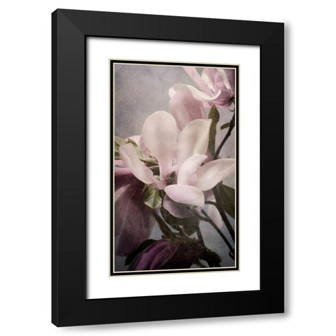 Magnolia Memories 1 Black Modern Wood Framed Art Print with Double Matting by Greenwood, Julie