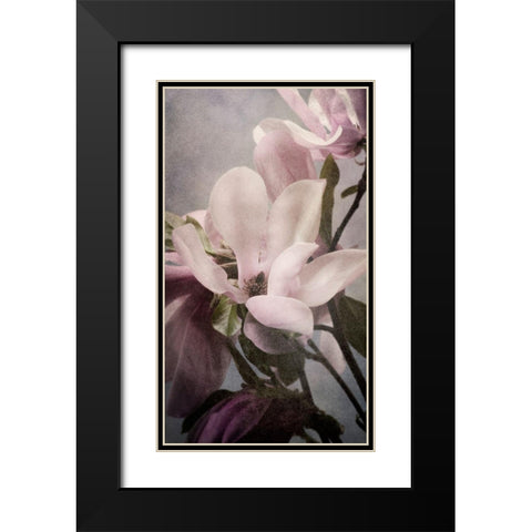 Magnolia Memories 1 Black Modern Wood Framed Art Print with Double Matting by Greenwood, Julie
