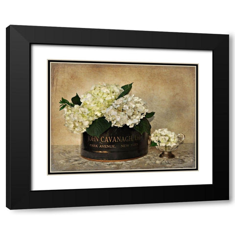 Park Avenue Hydrangea Black Modern Wood Framed Art Print with Double Matting by Atria, Cristin