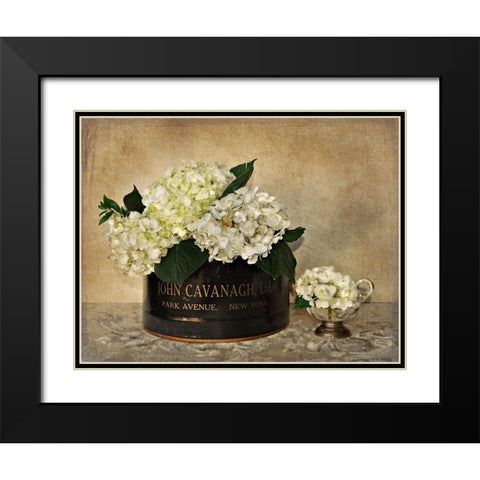 Park Avenue Hydrangea Black Modern Wood Framed Art Print with Double Matting by Atria, Cristin