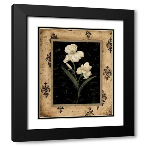 Silver Iris Black Modern Wood Framed Art Print with Double Matting by Andrew, Regina
