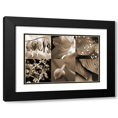 Garden Path Black Modern Wood Framed Art Print with Double Matting by Amber Light Gallery