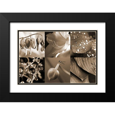Garden Path Black Modern Wood Framed Art Print with Double Matting by Amber Light Gallery