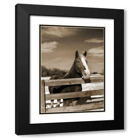 At the Ranch Black Modern Wood Framed Art Print with Double Matting by Amber Light Gallery
