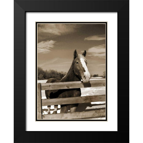 At the Ranch Black Modern Wood Framed Art Print with Double Matting by Amber Light Gallery