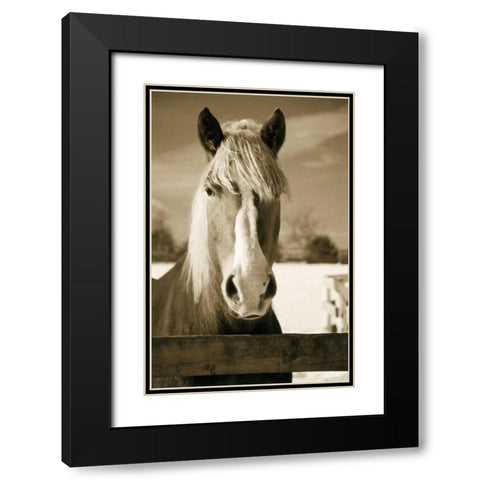 At the Correl Black Modern Wood Framed Art Print with Double Matting by Amber Light Gallery