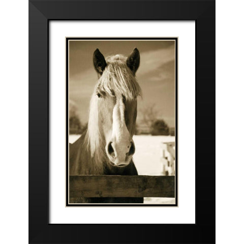 At the Correl Black Modern Wood Framed Art Print with Double Matting by Amber Light Gallery