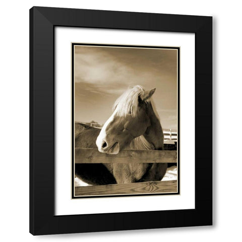 At the Farm Black Modern Wood Framed Art Print with Double Matting by Amber Light Gallery