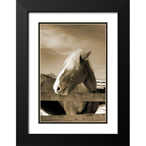 At the Farm Black Modern Wood Framed Art Print with Double Matting by Amber Light Gallery