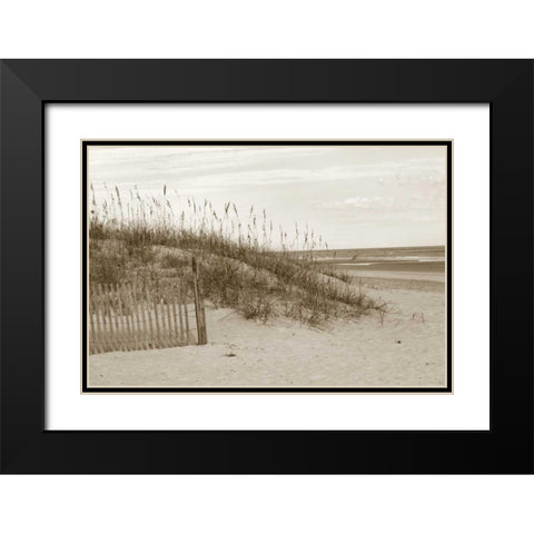 In the Dunes 1 Black Modern Wood Framed Art Print with Double Matting by Amber Light Gallery