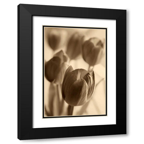 Illuminated Tulips 1 Black Modern Wood Framed Art Print with Double Matting by Amber Light Gallery