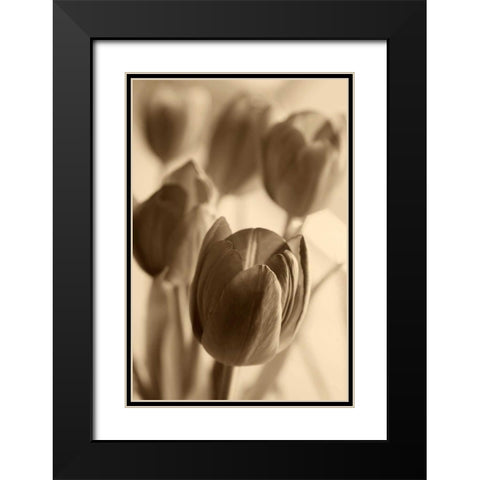 Illuminated Tulips 1 Black Modern Wood Framed Art Print with Double Matting by Amber Light Gallery