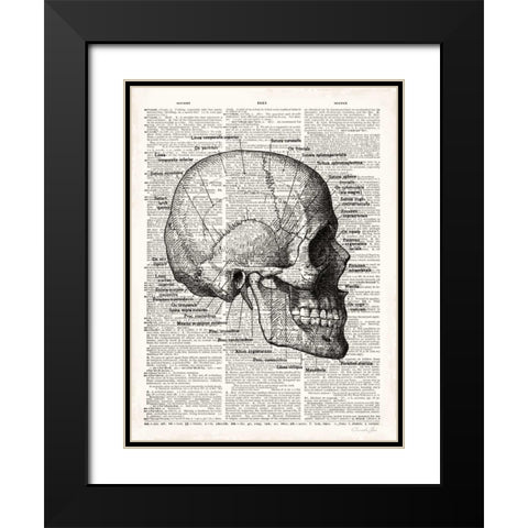 Vintage Anatomy Skull Black Modern Wood Framed Art Print with Double Matting by James, Christopher