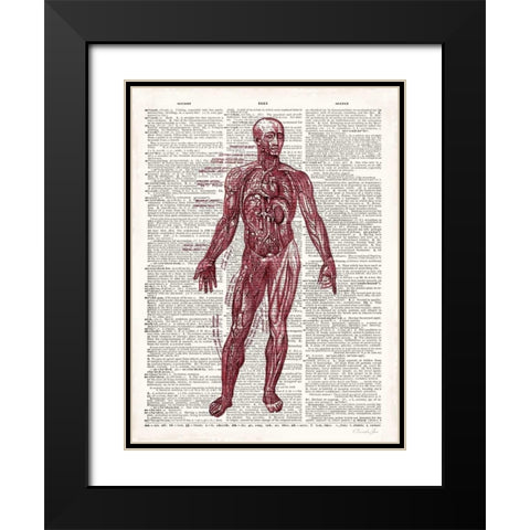 Vintage Anatomy Book  Black Modern Wood Framed Art Print with Double Matting by James, Christopher