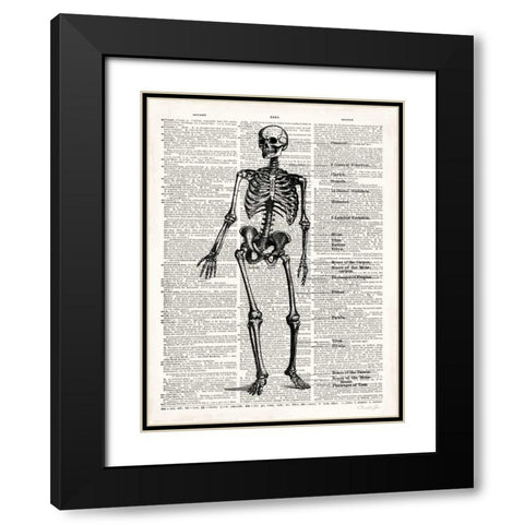 Vintage Anatomy Skeleton  Black Modern Wood Framed Art Print with Double Matting by James, Christopher