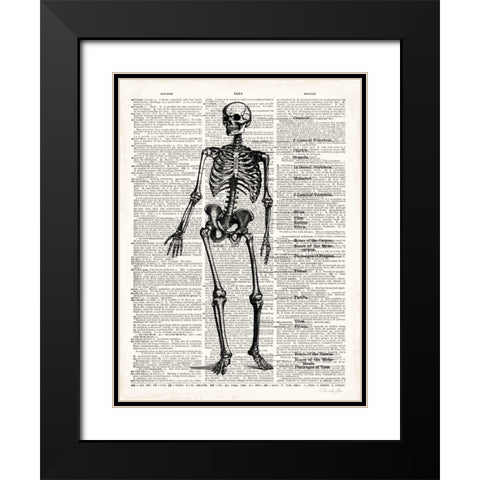 Vintage Anatomy Skeleton  Black Modern Wood Framed Art Print with Double Matting by James, Christopher