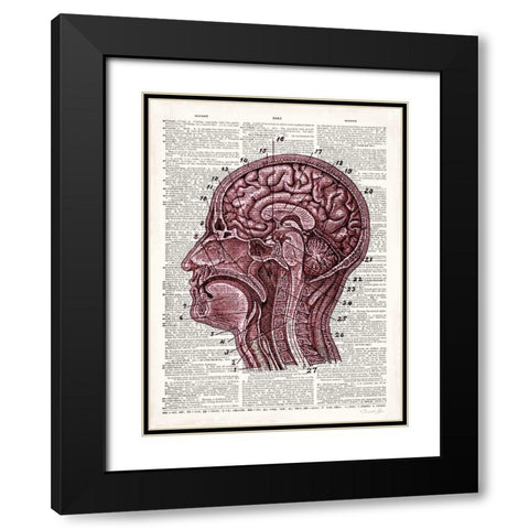 Vintage Anatomy Brain Black Modern Wood Framed Art Print with Double Matting by James, Christopher