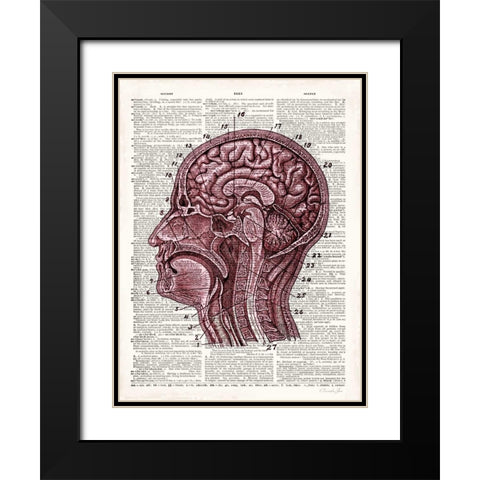 Vintage Anatomy Brain Black Modern Wood Framed Art Print with Double Matting by James, Christopher