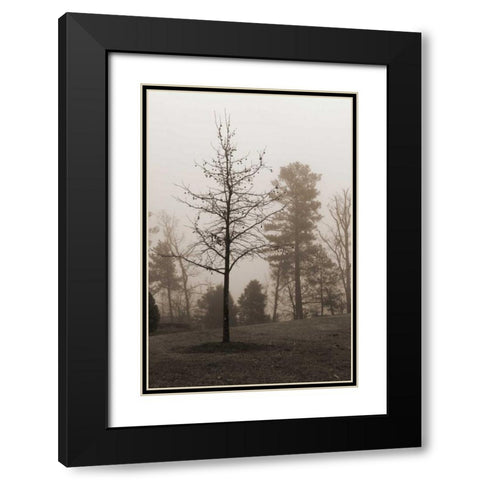 Evening Mist 1 Black Modern Wood Framed Art Print with Double Matting by Sememza, Marlana