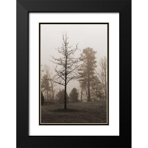 Evening Mist 1 Black Modern Wood Framed Art Print with Double Matting by Sememza, Marlana