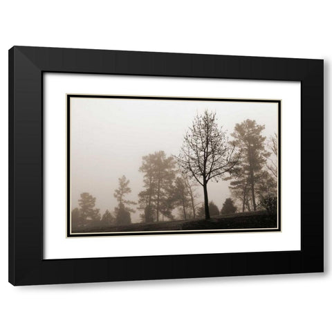 Evening Mist 2 Black Modern Wood Framed Art Print with Double Matting by Sememza, Marlana