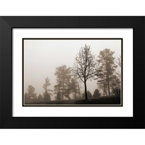 Evening Mist 2 Black Modern Wood Framed Art Print with Double Matting by Sememza, Marlana