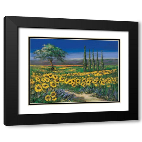 Field of sunflowers Black Modern Wood Framed Art Print with Double Matting by Paleta, Anna