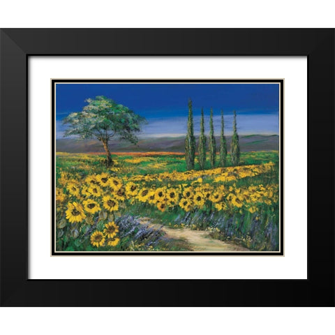 Field of sunflowers Black Modern Wood Framed Art Print with Double Matting by Paleta, Anna