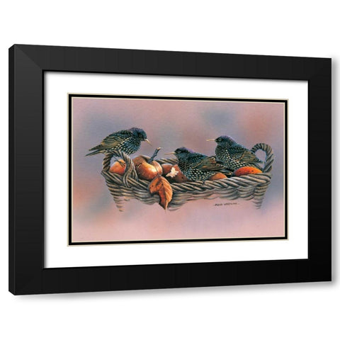 Family birds Black Modern Wood Framed Art Print with Double Matting by Weenink, Ruud