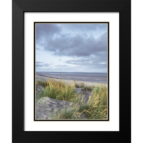Sand dunes and grass, West wittering beach, UK Black Modern Wood Framed Art Print with Double Matting by Frank, Assaf