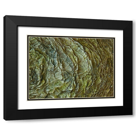 Frosty rock surface Black Modern Wood Framed Art Print with Double Matting by Frank, Assaf
