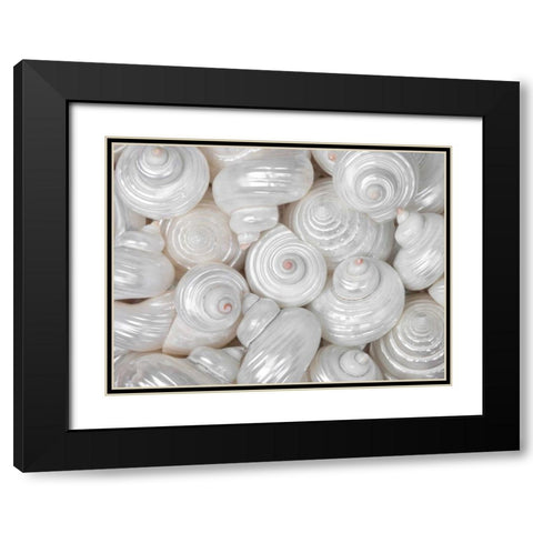 Mixed pearly sea shells close-up Black Modern Wood Framed Art Print with Double Matting by Frank, Assaf