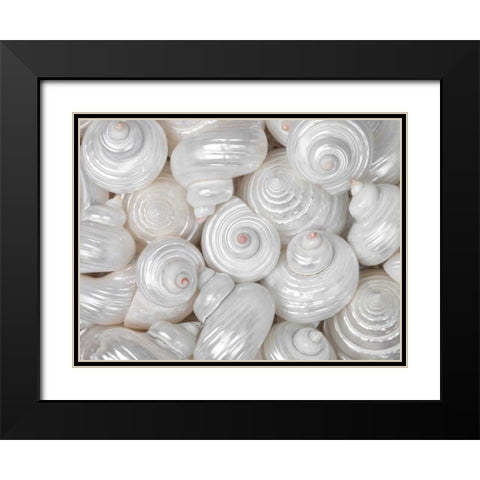 Mixed pearly sea shells close-up Black Modern Wood Framed Art Print with Double Matting by Frank, Assaf