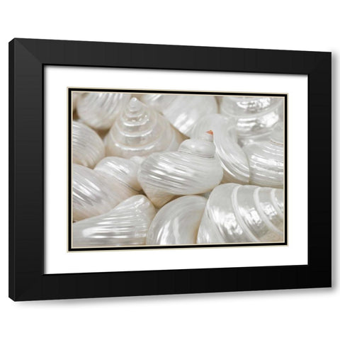 Mixed pearly sea shells close-up Black Modern Wood Framed Art Print with Double Matting by Frank, Assaf