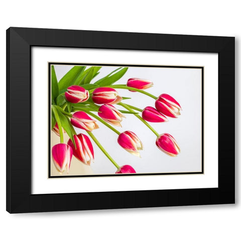 Bunch of red tulips Black Modern Wood Framed Art Print with Double Matting by Frank, Assaf