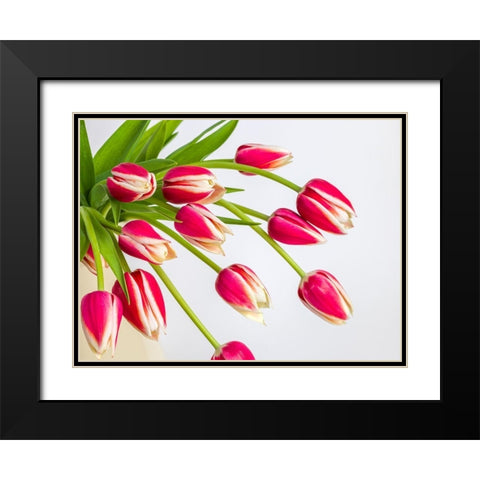 Bunch of red tulips Black Modern Wood Framed Art Print with Double Matting by Frank, Assaf