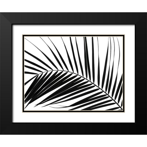 Palm tree leaf on white background Black Modern Wood Framed Art Print with Double Matting by Frank, Assaf