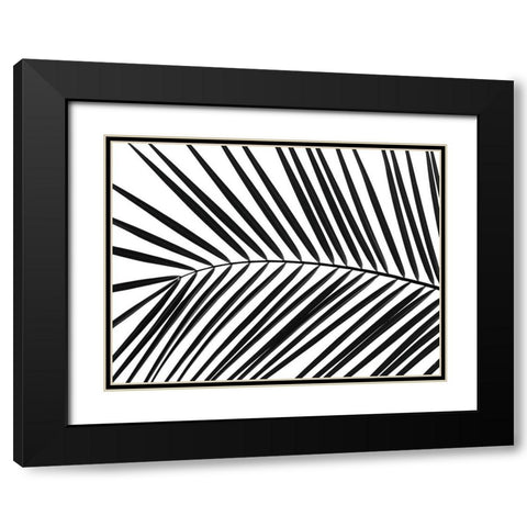 Palm tree leaf Black Modern Wood Framed Art Print with Double Matting by Frank, Assaf