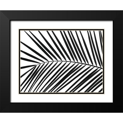 Palm tree leaf Black Modern Wood Framed Art Print with Double Matting by Frank, Assaf