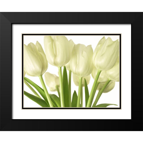 Bunch of Tulips Black Modern Wood Framed Art Print with Double Matting by Frank, Assaf
