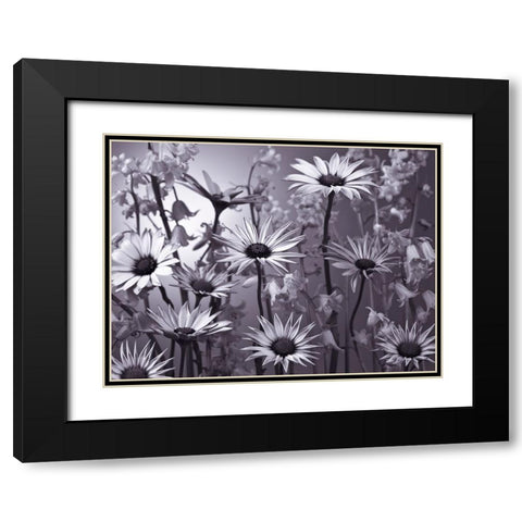 Meadow flowers Black Modern Wood Framed Art Print with Double Matting by Frank, Assaf
